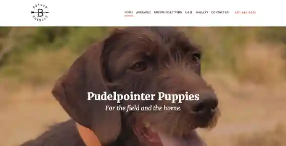 Bowman Kennels